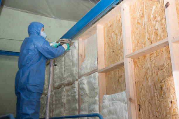 Best Energy-efficient Insulation  in Mount Washington, KY